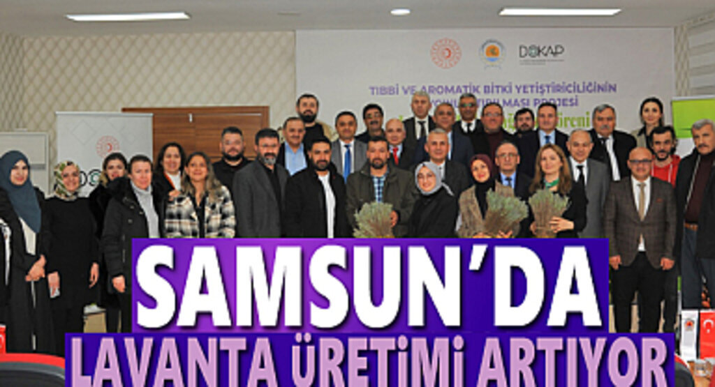 Lavanta Fideleri Toprakla Buluştu