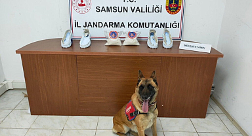 Samsun İl Jandarma Komutanlığı suçlulara göz açtırmıyor