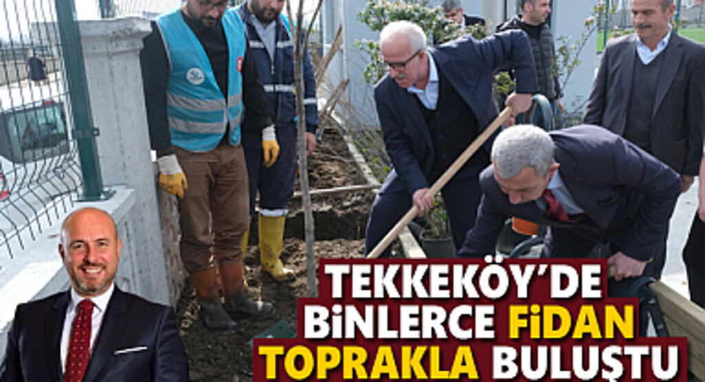 Tekkeköy’de binlerce fidan toprakla buluştu