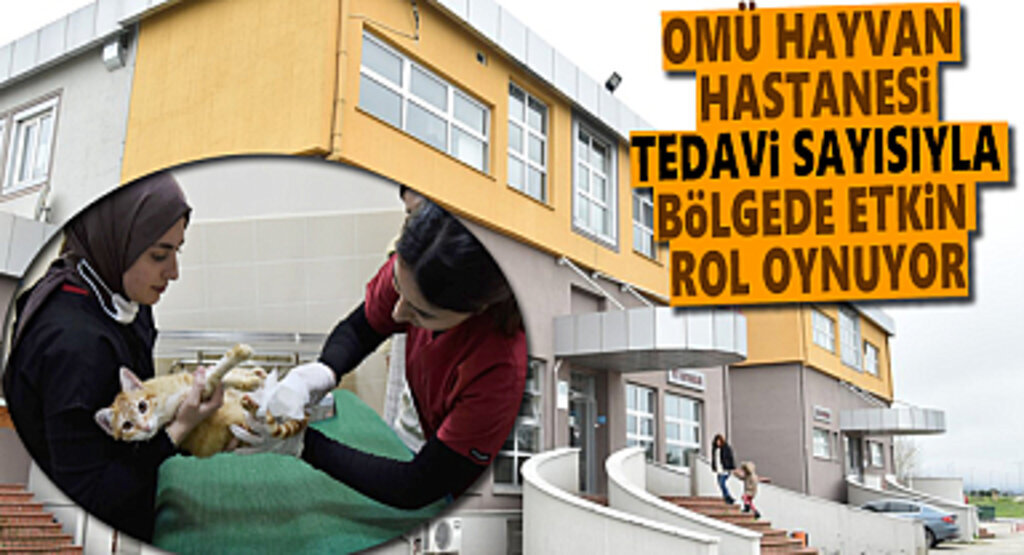 OMÜ Hayvan Hastanesi Tedavi Sayısıyla Bölgede Etkin Rol Oynuyor