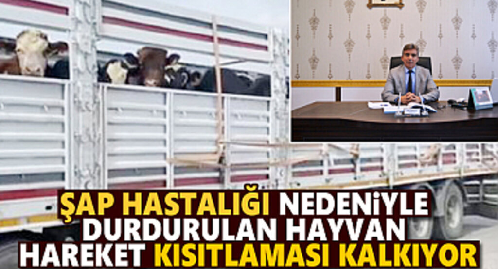 Şap Hastalığı Nedeniyle Durdurulan Hayvan Hareket Kısıtlaması Kalkıyor