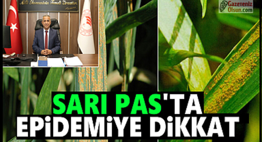 Sarı Pas’ta Epidemiye Dikkat