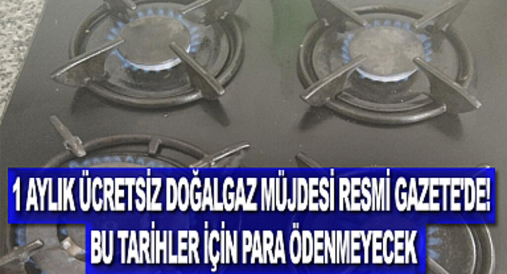 1 aylık ücretsiz doğalgaz müjdesi Resmi Gazete'de! Bu tarihler için para ödenmeyecek