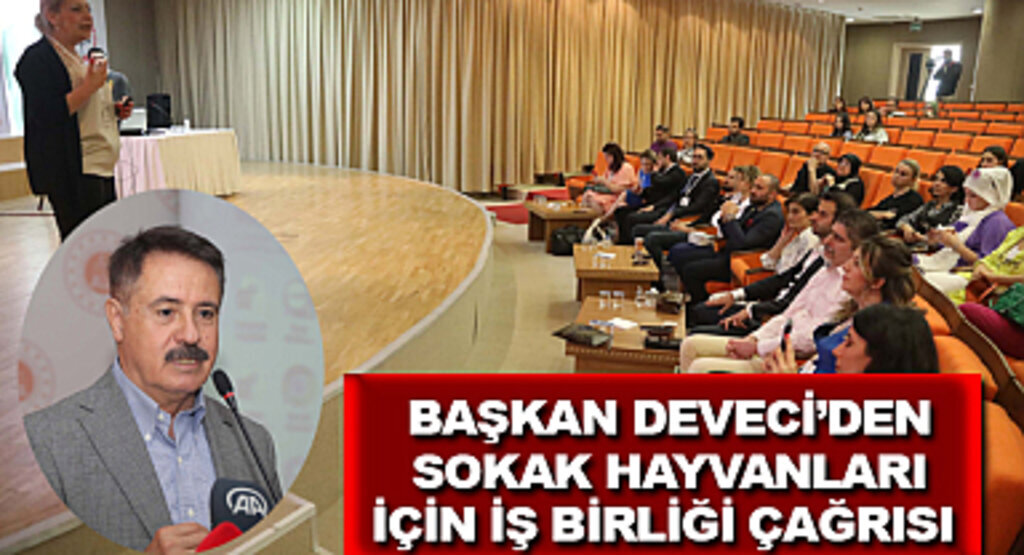 Başkan Deveci’den sokak hayvanları için iş birliği çağrısı