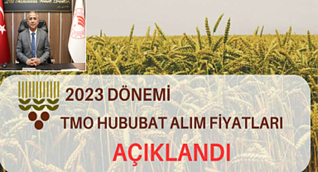 Buğday ve Arpada TMO Alım Fiyatları Açıklandı