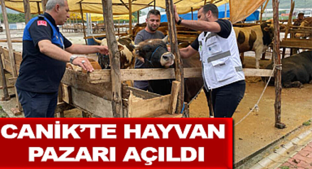 Canik’te Hayvan Pazarı Açıldı