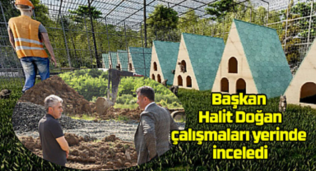 Çarşamba Belediyesi'nden Sokak Hayvanlarına Geçici Bakım Merkezi