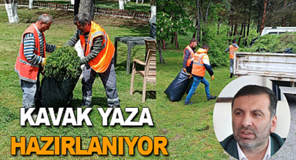 Kavak yaza hazırlanıyor