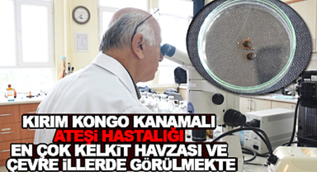 Kırım Kongo Kanamalı Ateşi Hastalığı Kelkit Havzası ve Çevre İllerde Yoğunlaştı