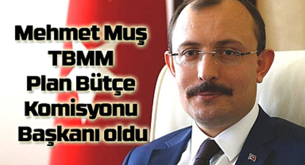 Mehmet Muş TBMM Plan Bütçe Komisyonu Başkanı oldu