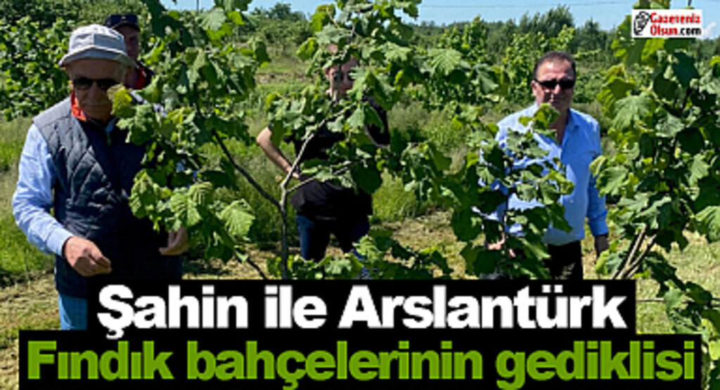 Şahin ile Arslantürk Fındık bahçelerinin gediklisi