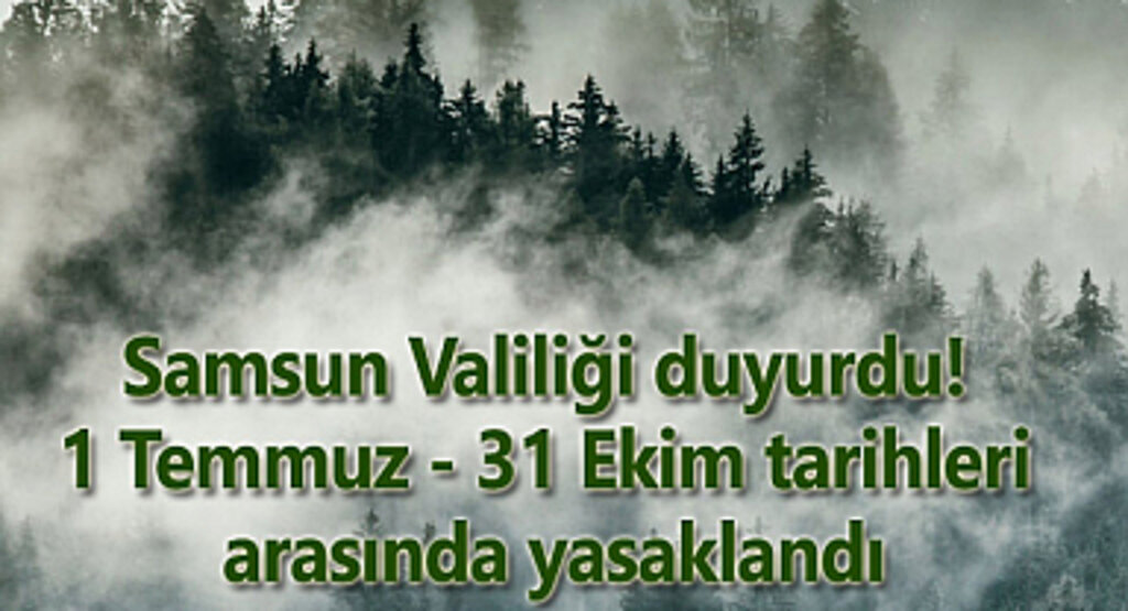 Samsun'da ormanlık alanlara girişler yasaklandı!