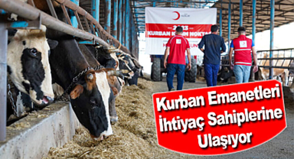 Türk Kızılay Kurban Kesimlerini Başlattı