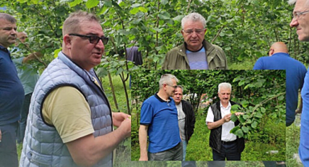 Ulusal Fındık Konseyi Gürcistan’da