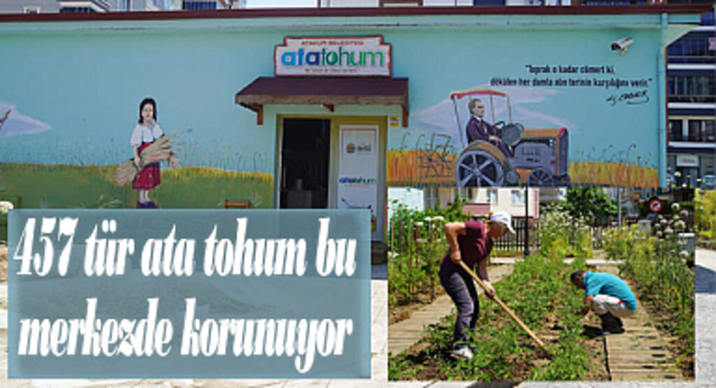 457 tür ata tohum bu merkezde korunuyor 