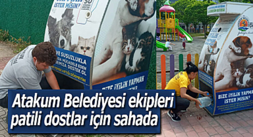 Atakum Belediyesi ekipleri patili dostlar için sahada