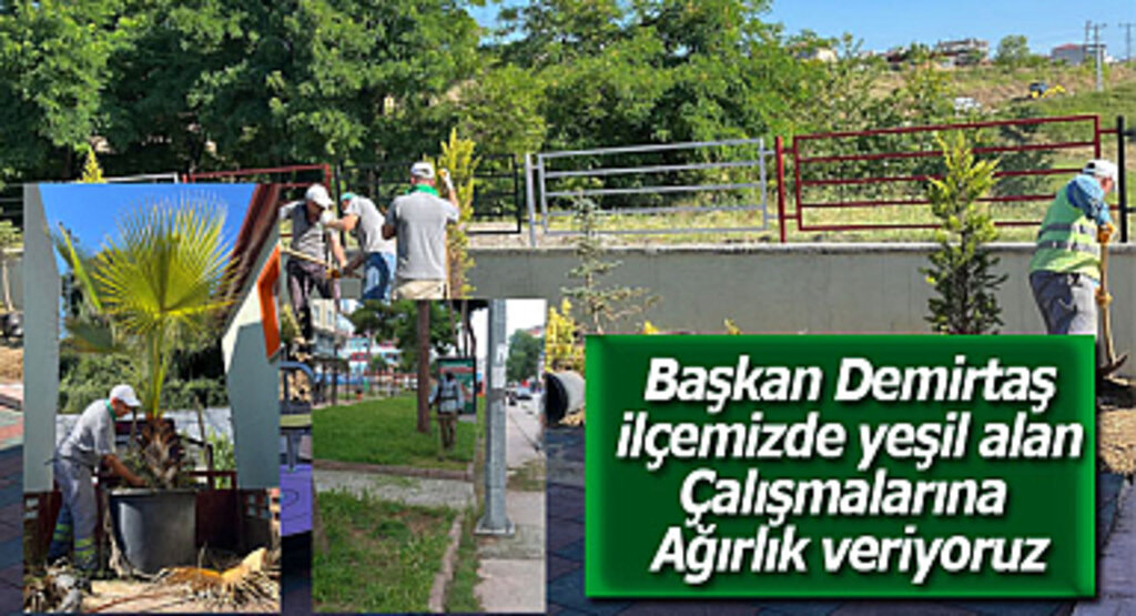 Başkan Demirtaş: İlçemizde yeşil alan çalışmalarına ağırlık veriyoruz