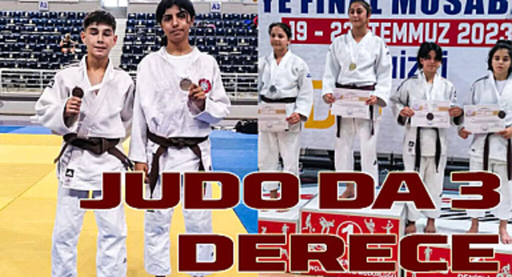 Judo da 3 derece