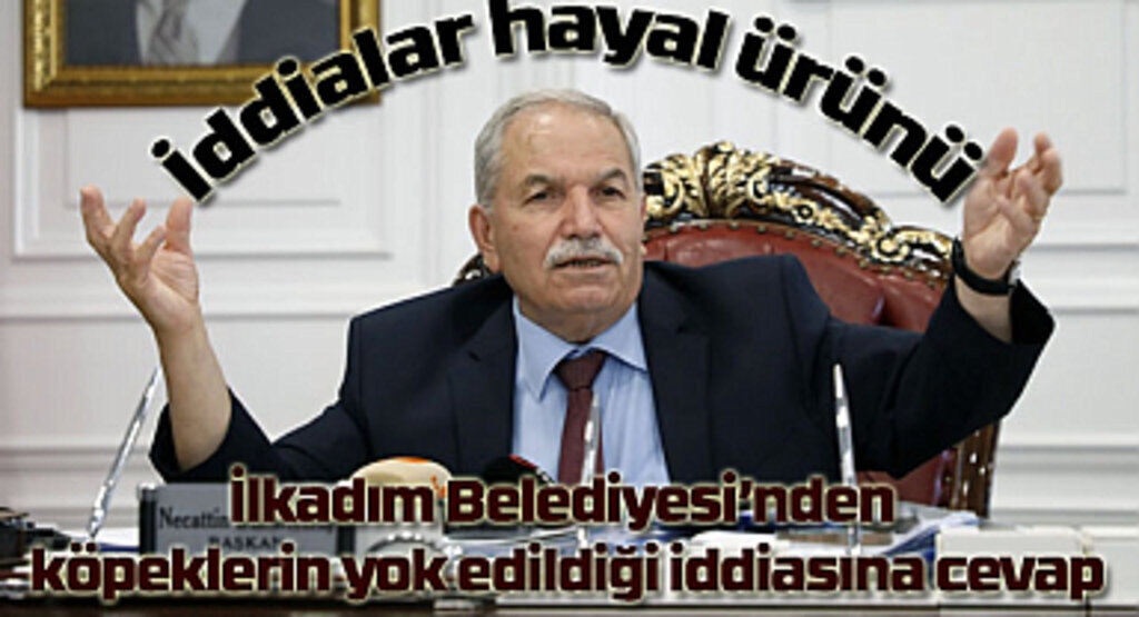 Samsun'da bir gecede 300 köpek yok edildi mi? Samsun Haber