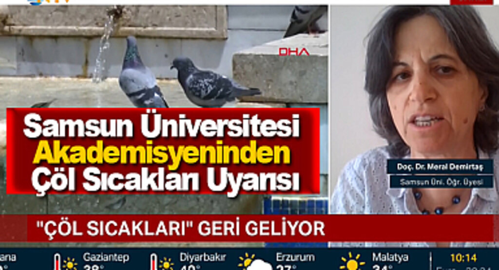 Samsun Üniversitesi Akademisyeninden Çöl Sıcakları Uyarısı