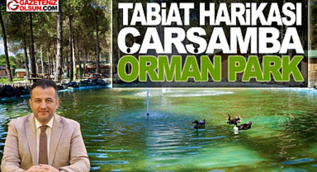 Tabiat Harikası Çarşamba Orman Park