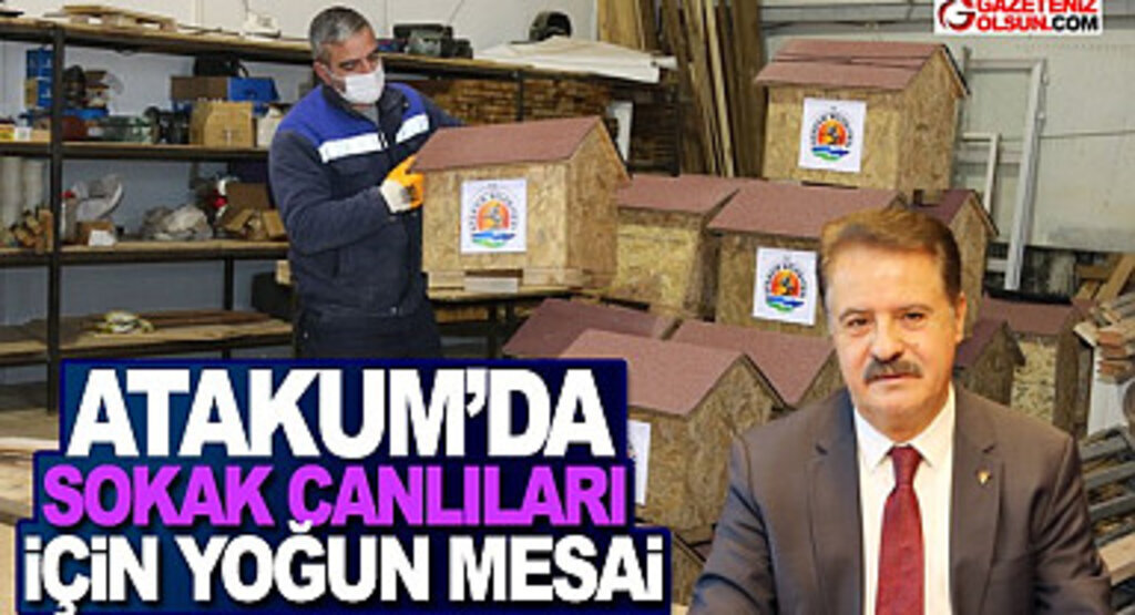 Atakum'da patili dostlara 32 ton mama desteği sağlandı