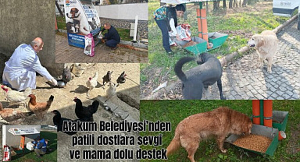 Atakum Belediyesi’nden patili dostlara sevgi ve mama dolu destek