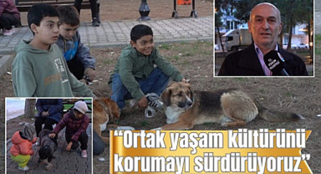 Atakum Belediyesi'nden sokak canlıları için yoğun mesai