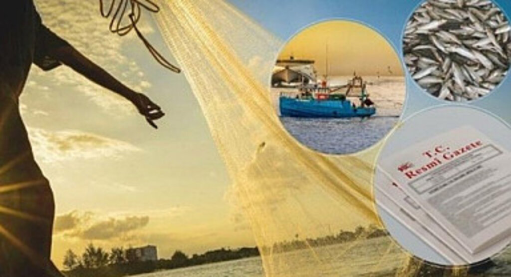 Küçük Ölçekli Balıkçılar İçin Destekleme Başvuruları Başladı