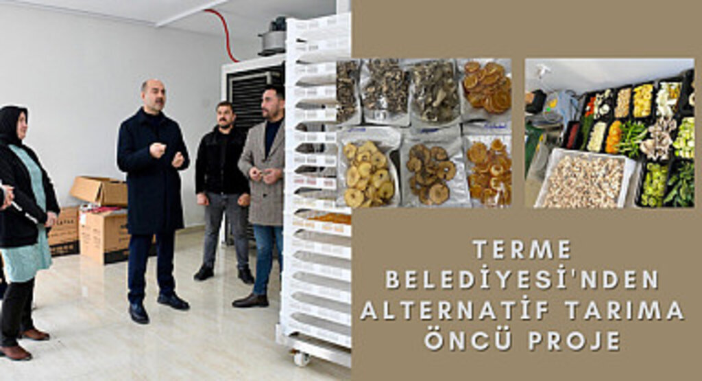 Terme Belediyesi'nden alternatif tarıma öncü proje