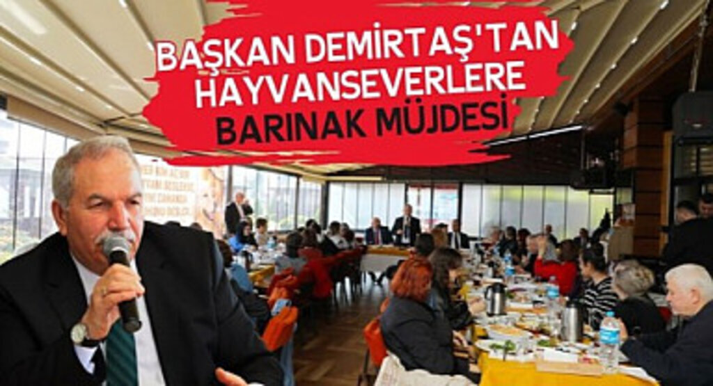 İlkadım Belediyesi'nden Hayvanseverlere Müjde