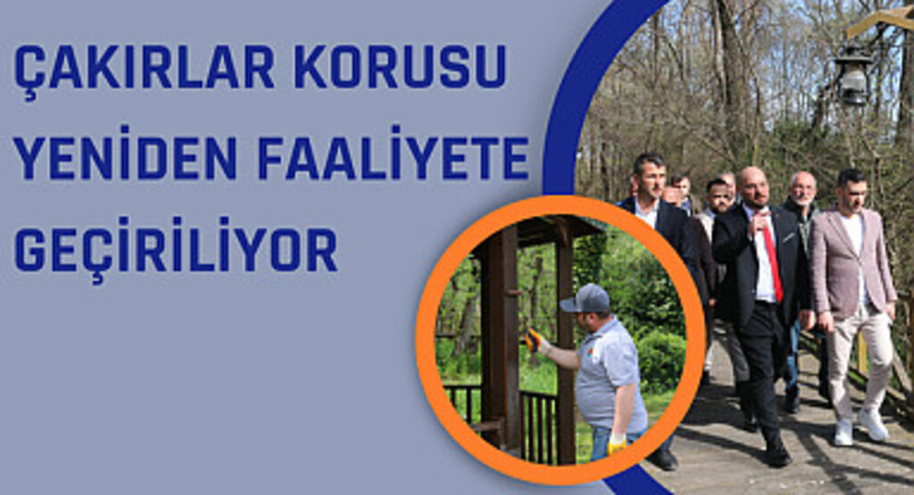 Çakırlar Korusu yeniden faaliyete geçiriliyor