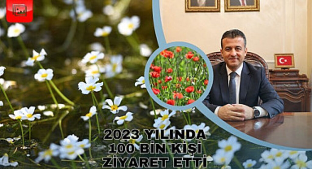 Kızılırmak Deltası’nda görsel şölen yaşanıyor (Foto Galeri)