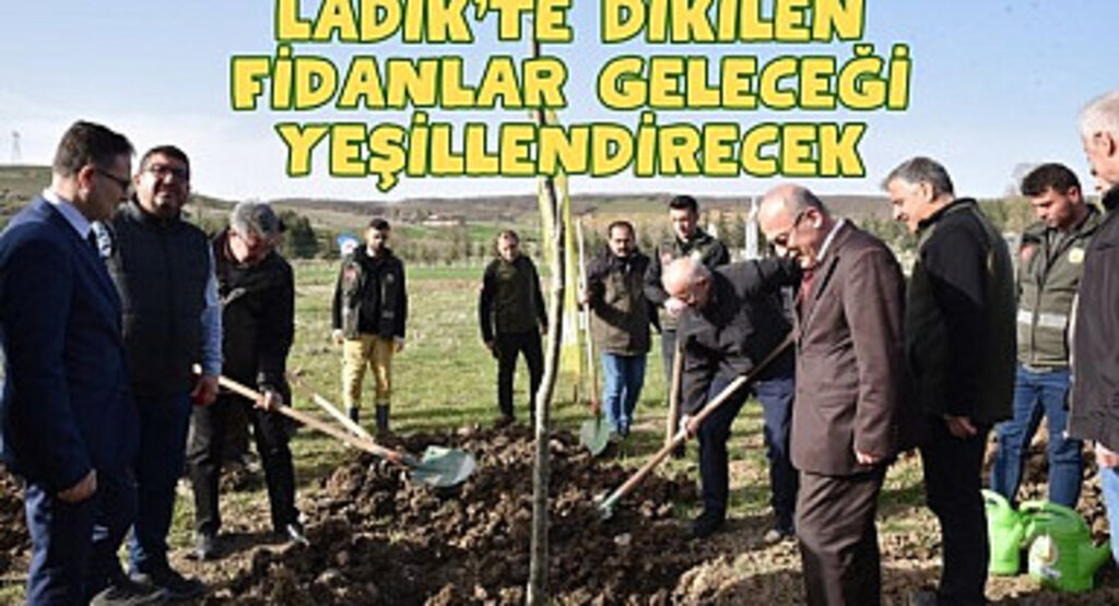 Ladik’te Dikilen Fidanlar Geleceği Yeşillendirecek