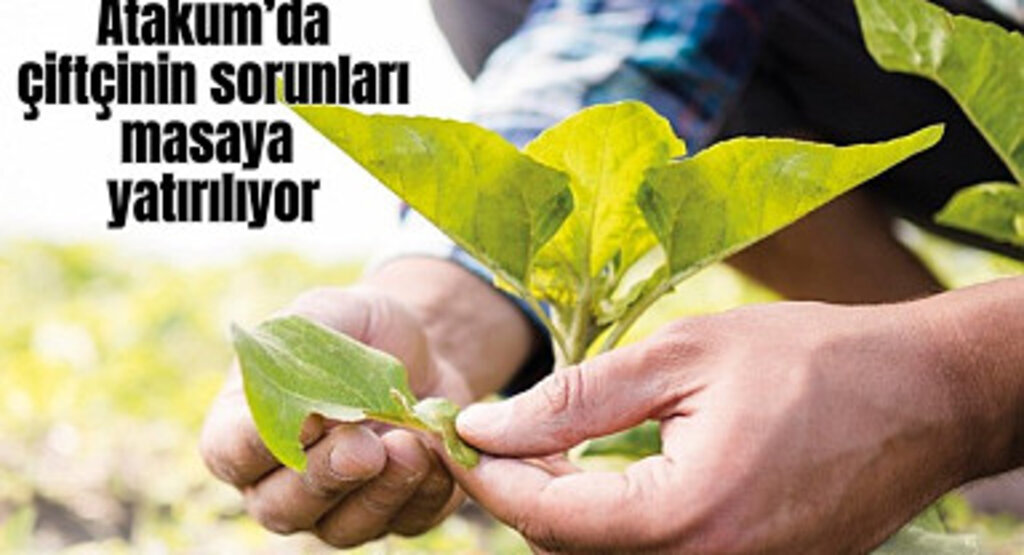 Atakum’da çiftçinin sorunları masaya yatırılıyor