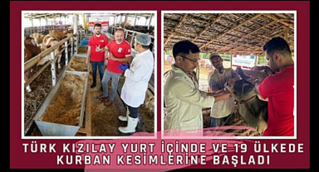 Türk Kızılay Yurt İçinde ve 19 Ülkede Kurban Kesimlerine Başladı