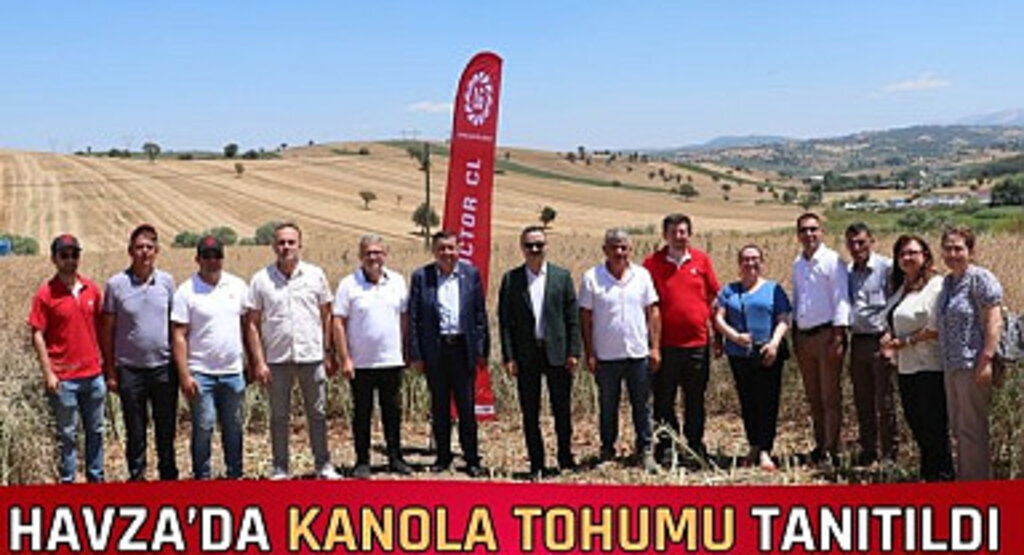Havza’da kanola tohumu tanıtıldı