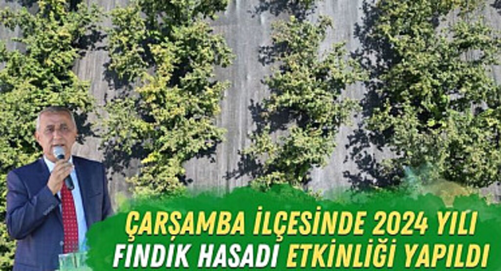 Çarşamba İlçesi'nde Fındık Hasadı Etkinliği Yapıldı