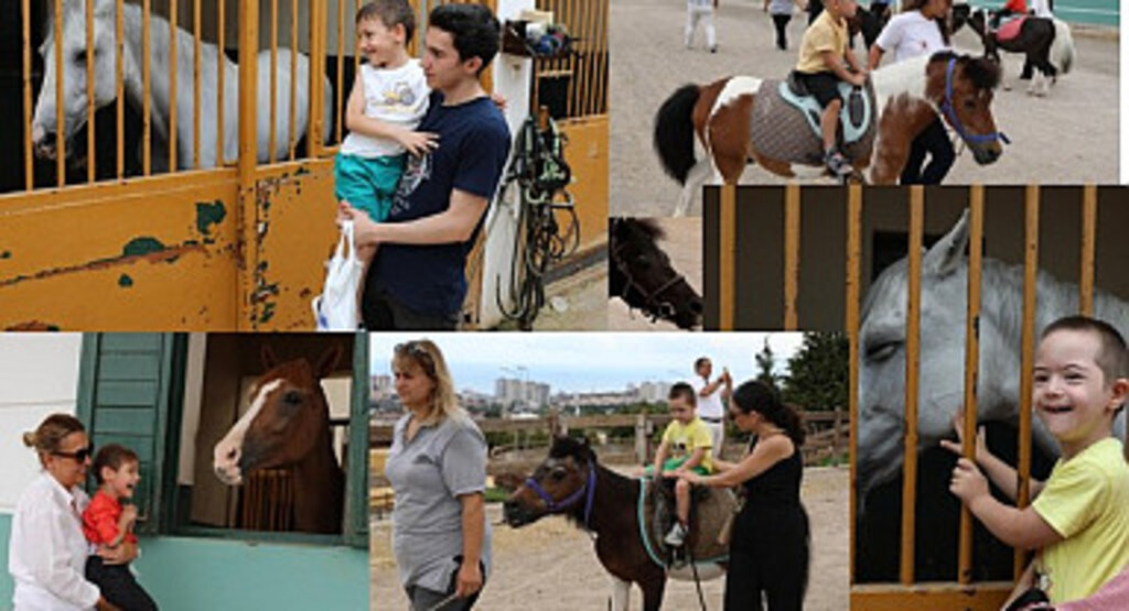 Samsun Büyükşehir Belediyesi'nden özel çocuklara atla terapi desteği