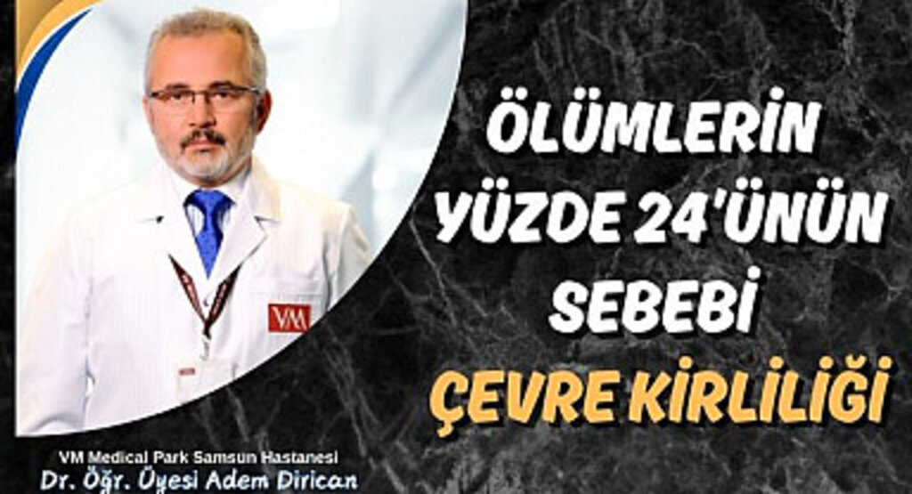 Ölümlerin yüzde 24’ünün sebebi çevre kirliliği