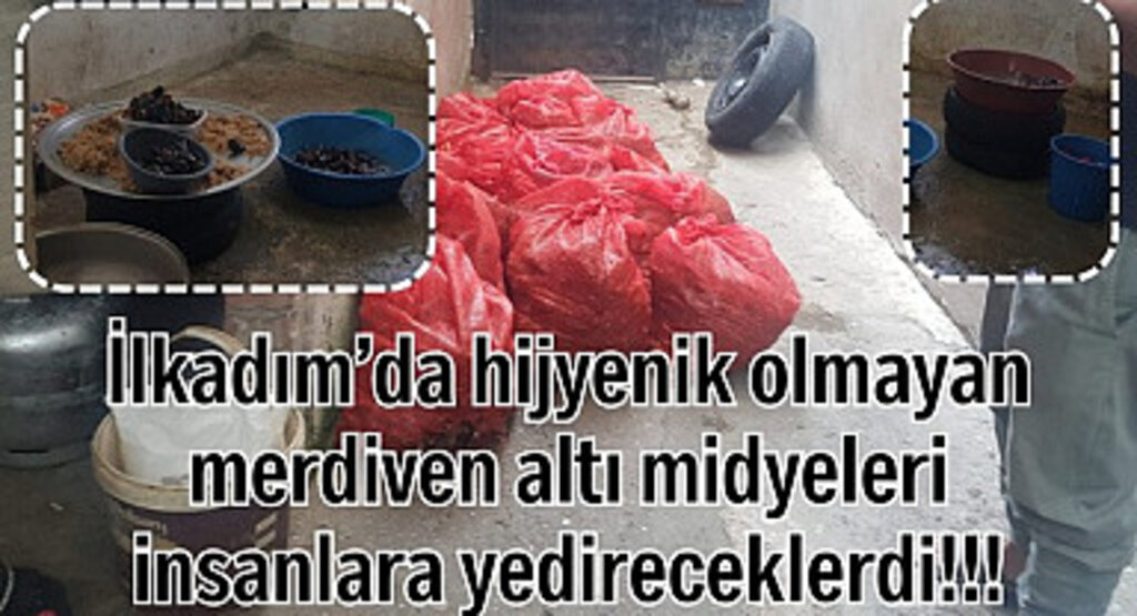Samsun'da bu midye dolmaları insanlara yedireceklerdi!