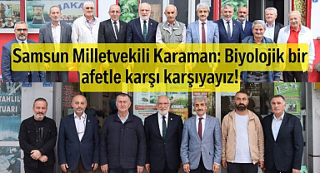 Samsun'daki Kahverengi Kokarca istilası Biyolojik Afet mi?