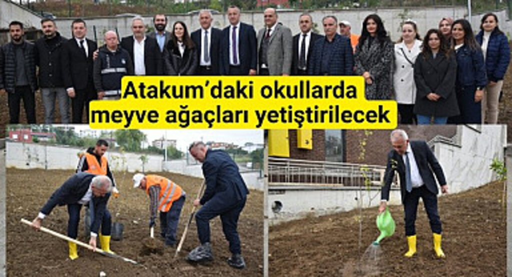 Atakum’daki okullarda meyve ağaçları yetiştirilecek 