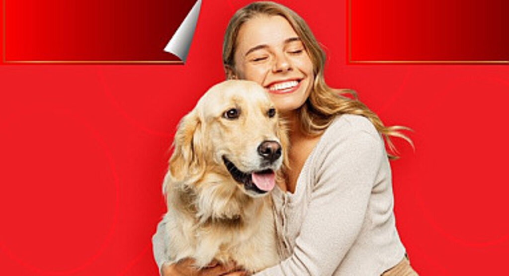 Evcil hayvanlar için sağlık sigortası var mı? Aksigorta Pati Plus VetAmerikan