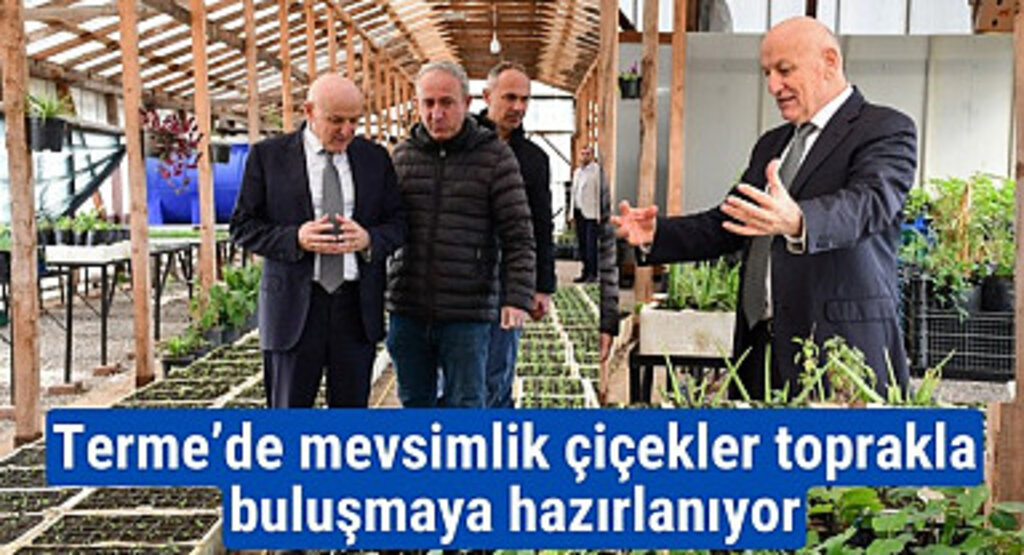Terme’de mevsimlik çiçekler toprakla buluşmaya hazırlanıyor