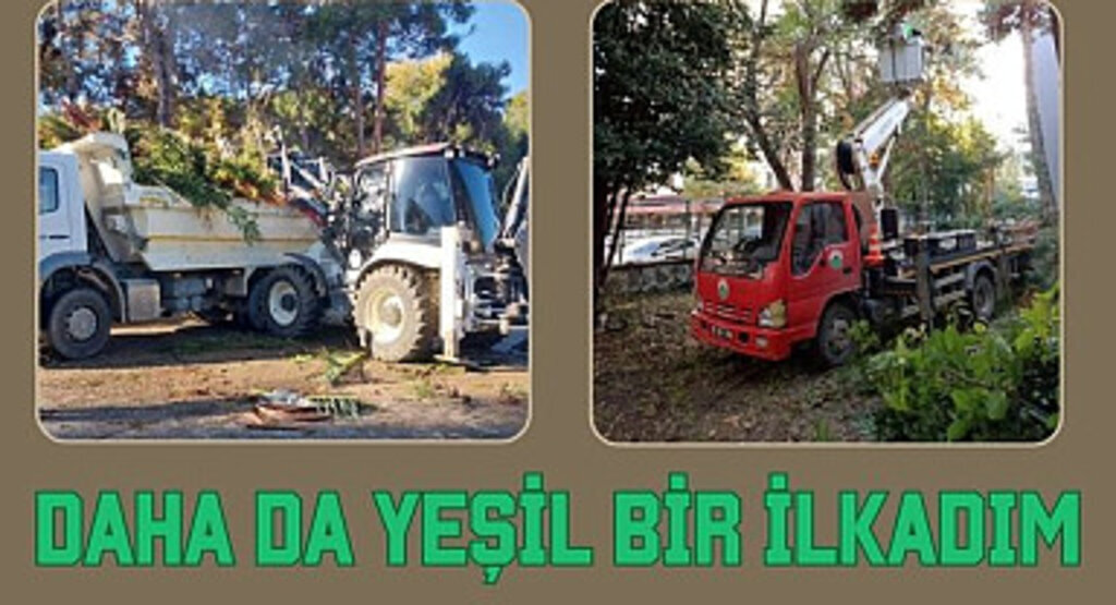 İlkadım’da ağaçlar kent estetiği için budanıyor