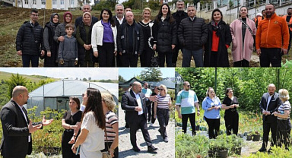 Atakum Belediyesi yeşillendirme çalışmalarına hız verdi