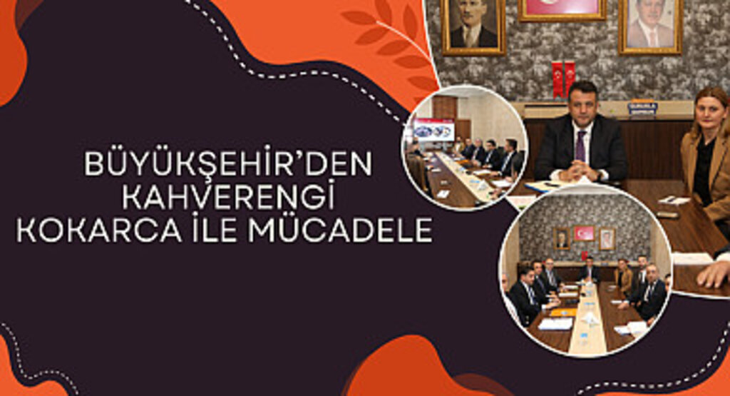 Büyükşehir'den kahverengi kokarca ile mücadele