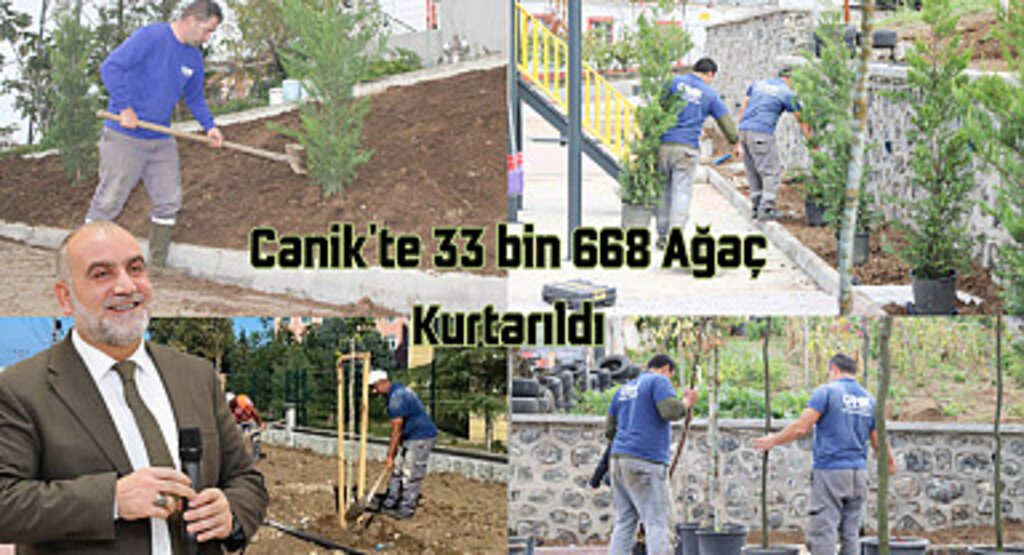 Canik'te 33 bin 668 Ağaç Kurtarıldı