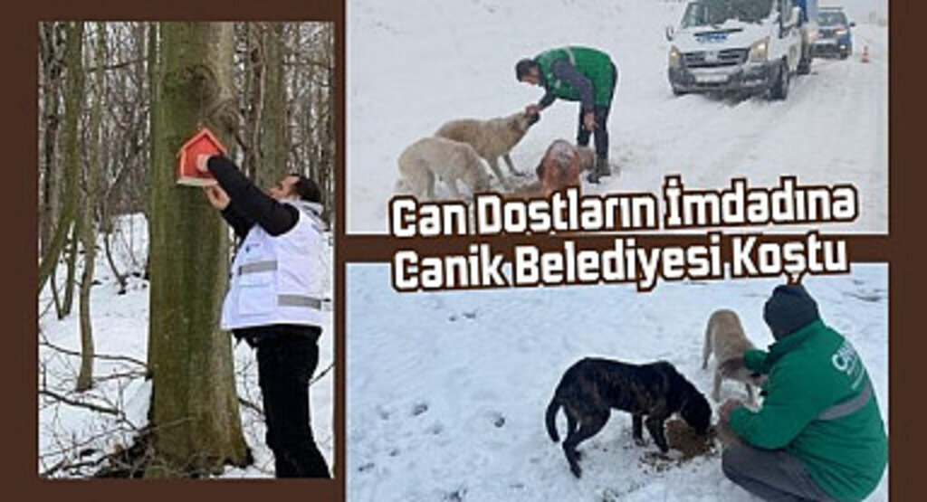Canik Belediyesi Can Dostları Unutmadı
